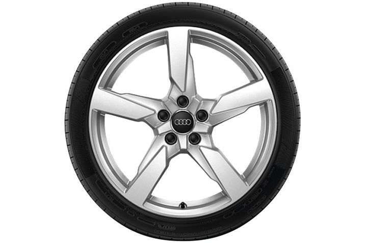 Audi TT 5 Arm Polygon Design Winterkomplettrad